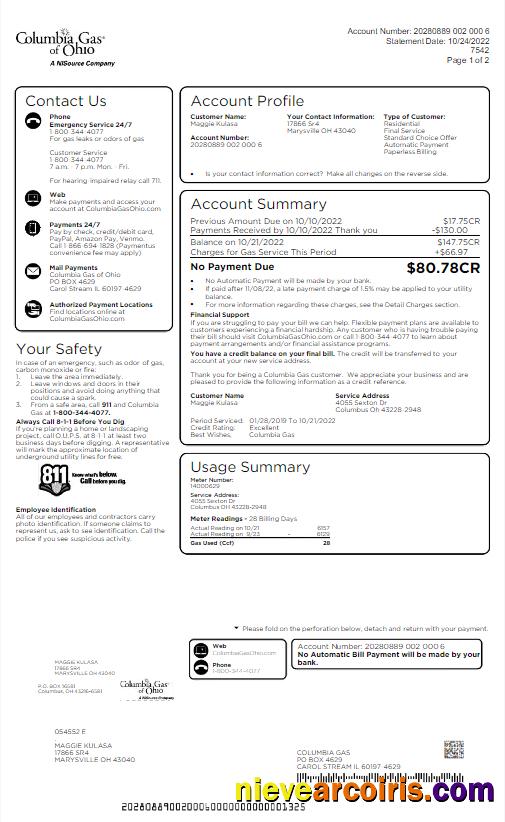USA COLUMBIA GAS OF OHIO utility bill